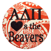 Orange & Black Beavers - Orange Paisley